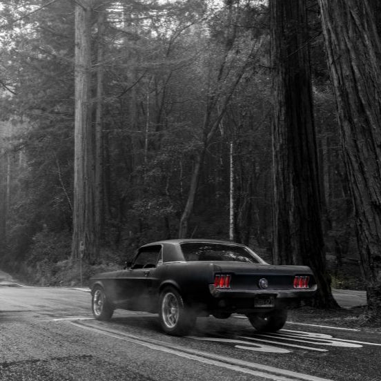 How To Prep Your Mustang for the Winter