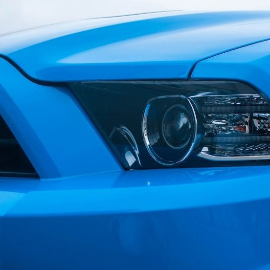5 Reasons Why Ford Mustangs Are So Popular