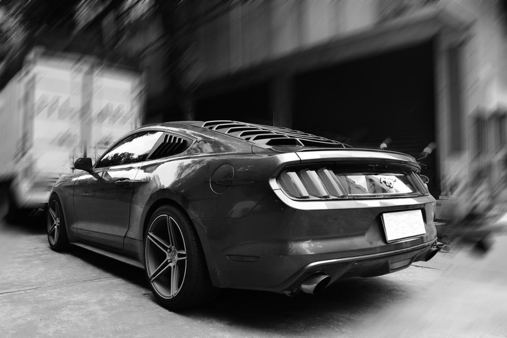 Side & Rear Window Louvers Combo Lambo Style (2015 - 2019 Ford Mustang) Window Louvers AMERICAN MODIFIED 